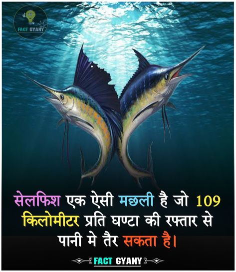 Fish Facts, Fish In The Ocean, Butterfly Facts, Technology Facts, Whale Facts, Youtube Facts, Facts In Hindi, Interesting Facts In Hindi, Fun Facts About Animals