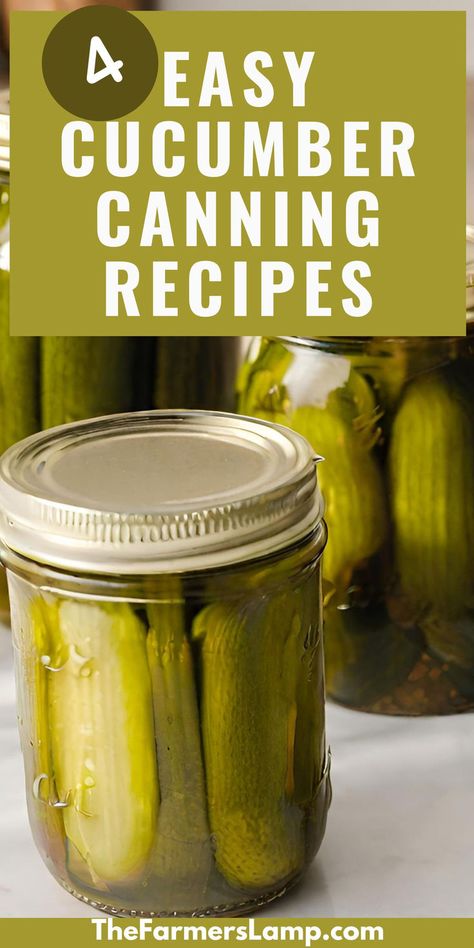 glass jars filled with cucumbers that have been canned with words written that read four easy cucumber canning recipes the farmers lamp dot com Canning Cucumbers, Icebox Pickles, Preserving Cucumbers, Easy Canning Recipes, Canning Salt, Easy Canning, Cucumber Canning, Fermented Pickles, Small Cucumber