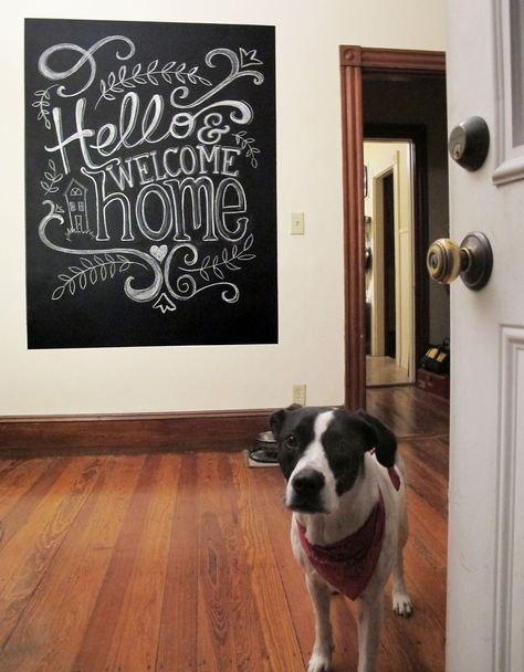 Hello & Welcome Home. Chalkboard art by Elissa Surabian, featuring the one and only Sadie! DIY Chalkboard wall. Welcome Home Chalk Art, Welcome Home Chalkboard Art, Kitchen Chalkboard Art, Home Chalkboard Ideas, Welcome Chalkboard Art, Diy Kitchen Doors, Welcome Home Chalkboard, Home Chalkboard Art, Chalkboard Paint Kitchen