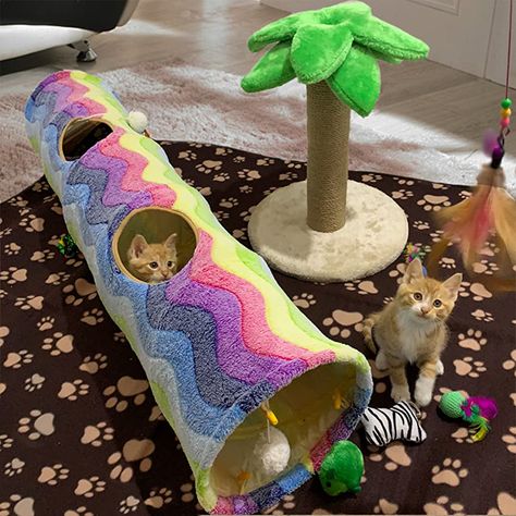 Unique Cat Bed, Kitty Play, Kat Diy, Pet Bunny Rabbits, Cat Tunnel, Pet Bunny, Animal Room, Rainbow Cat, Bunny Rabbits