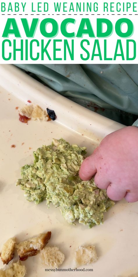 avocado chicken salad on baby high chair tray Dinner For 11 Month Old, Food Ideas For 11 Month Old, Meal Prep For 10 Month Old Baby, Make Ahead Baby Meals, Meal Ideas For 11 Month Old Baby, Baby Led Weaning Recipes 10 Months, Easy Baby Led Weaning Meals, Baby Lunch Ideas For 8 Month Old, 9 Month Old Baby Led Weaning Meals