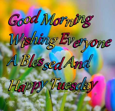 Good Morning Everyone Have A Blessed Tuesday good morning tuesday tuesday quotes good morning quotes happy tuesday tuesday quote tuesday blessings happy tuesday quotes good morning tuesday spring tuesday quotes Have A Blessed Tuesday, Good Morning Tuesday Wishes, Blessed Tuesday, Sister Bond Quotes, Bewafa Quotes, Happy Tuesday Morning, Tuesday Quotes Good Morning, Happy Easter Quotes, Happy Tuesday Everyone