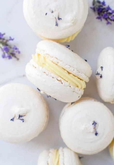 We've compiled the best lavender recipes from delicate floral scones to luscious creamy drinks and zesty lemon-drenched cookies. Indulge in these exquisite Lavender Macarons. Lemon White Chocolate Ganache, Lavender Desserts, Lavender Dessert Recipes, Lemon Lavender Cake, Honeycomb Cheesecake, Lavender Macaron, White Macarons, Lemon Lavender Cookies, Lavender Dessert