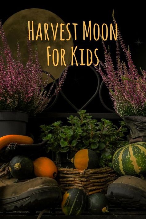 Halloween Literature, September Magick, Moon Lessons, Moon For Kids, How To Harvest Cilantro, Harvesting Lavender, Spots On Forehead, Harvesting Basil, Moon Activities