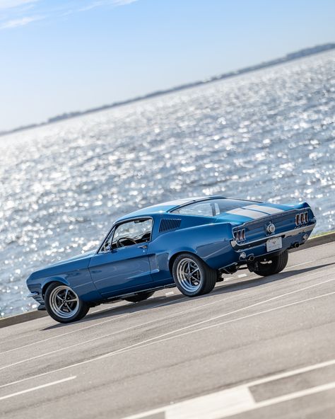 The Perfect Blend of Classic and Contemporary.  1968 Ford Mustang Fastback 68 Fastback, Classic Ford Mustang, 68 Ford Mustang, Mustang Restoration, 1968 Ford Mustang Fastback, Mustang Classic, Ford Mustang Classic, Blue Mustang, 1968 Ford Mustang