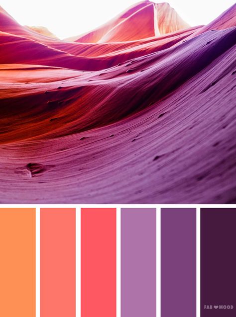 Orange and purple color scheme,orange peach and purple color palette Palette Viola, Color Scheme Orange, Color Schemes Design, Orange Color Schemes, Purple Color Schemes, Brown Color Schemes, Orange Color Palettes, Purple Color Palettes, Yellow Colour Scheme