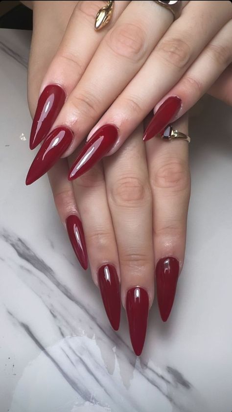 Aisha Core, Red Wine Nails, Wine Nails, Nail Goals, Elegant Nail, Elegant Nail Art, Casual Nails, Burgundy Nails, Gold Aesthetic