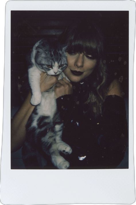 A Cat, Taylor Swift, Swift, A Woman