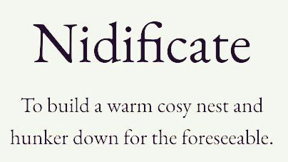 Words For Feelings You Can't Describe, Fun Words To Use, Obscure Words, Vocab Words, Words To Know, Words To Learn, Expand Your Vocabulary, Silly Words, Words Meaning