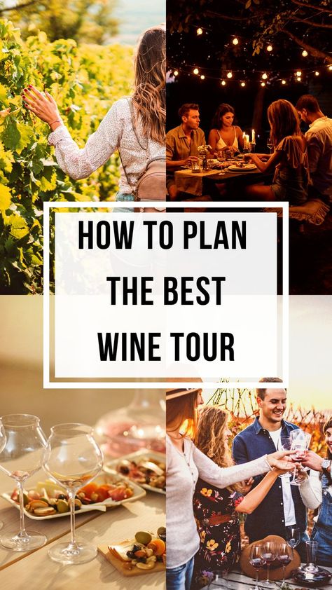 If you are in charge of the planning for your group of friends or you want to take your loved one for wine tastings and tours, we’ve got you covered. Scroll down to read our ultimate guide to plan the most perfect wine tour ever. Fall Wine Tour, Cowichan Valley, Wine Etiquette, Wine Basics, Wine Knowledge, Best Red Wine, Autumn Wine, Wine White, Wine Tourism