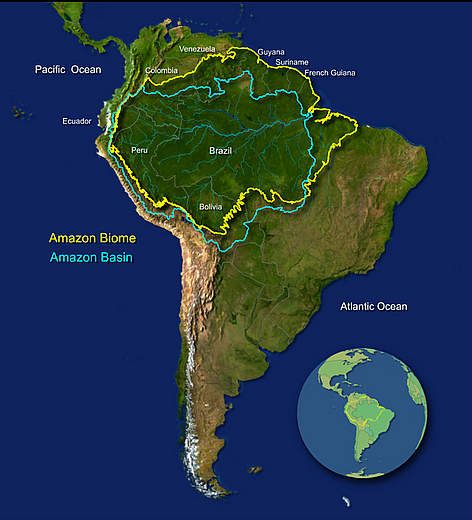 Map Of The Amazon Rainforest Amazon Basin Map, Amazon Rainforest Map, Rainforest Map, Rainforest Deforestation, Forest Map, South America Map, Amazon Jungle, Amazon Forest, Book Presentation