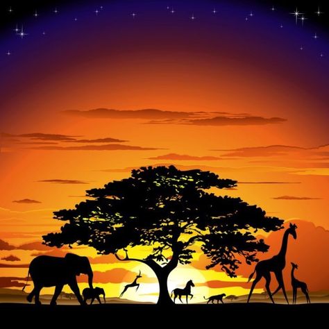 Tropisches Tattoo, Savannah Sunset, Animal Kingdom Safari, Sunset Drawing, African Savanna, Lion King Pictures, Safari Art, Lion Photography, African Sunset