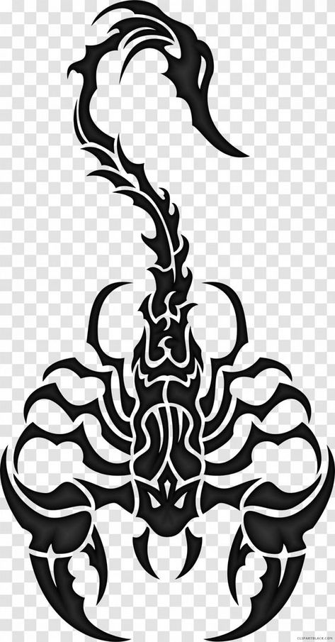 Vector Art Design Graphics, Scorpion Black And White, Graphic Art Black And White, Scorpion Vector, Clip Art Tattoo, Bow Hunting Tattoos, Scorpion Image, Scorpion Drawing, Simple Unique Tattoos