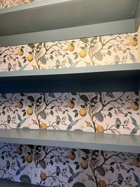 Wallpaper Inside Pantry, Wallpaper Behind Open Shelves, Wallpaper Butlers Pantry, Colourful Pantry Ideas, Wallpapered Pantry Closet, Wallpaper And Shelves, Wallpaper In Pantry Ideas, Pantry Design Wallpaper, Wallpaper Pantry Shelves