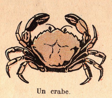 crabe by pilllpat (agence eureka), via Flickr Cars Mural, Crab Illustration, Le Tattoo, Crab Tattoo, Crab Print, Fish Illustration, Sea Monsters, Retro Prints, Graphic Design Posters