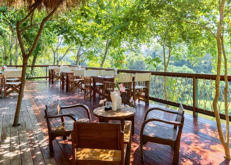 Gallery | Hintok River Camp Green River Project, River Restaurant, Tented Camp, Lodge Design, River Camp, Glamping Resorts, River Lodge, Rest House, Camping Places