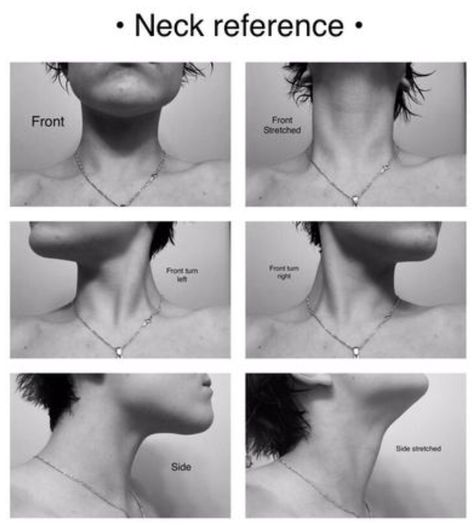 Proportion Tutorial, Neck Reference, Shading Reference, Muscles Of The Neck, Human Reference, Animation Reference, Go Off, Body Reference, Step By Step Drawing