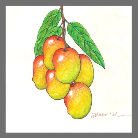 Branch of mangoes drawing easy. Image by- K art and craft. Mangoes Drawing, Mango Drawing, Vegetables Drawing, Mango Recipe, Vegetable Drawing, K Art, Easy Step By Step Drawing, Recipe Drawing, Fruits Drawing