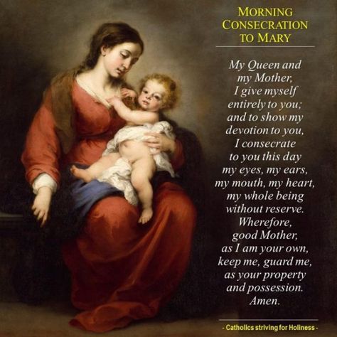 MORNING PRAYER OF CONSECRATION TO MOTHER MARY: "OH MY LADY." 3 Mother In Heaven, Praying For Your Children, Saint Quotes Catholic, Mary Catholic, Everyday Prayers, Our Lady Of Sorrows, Good Morning Prayer, Prayer For Family, Blessed Mother Mary