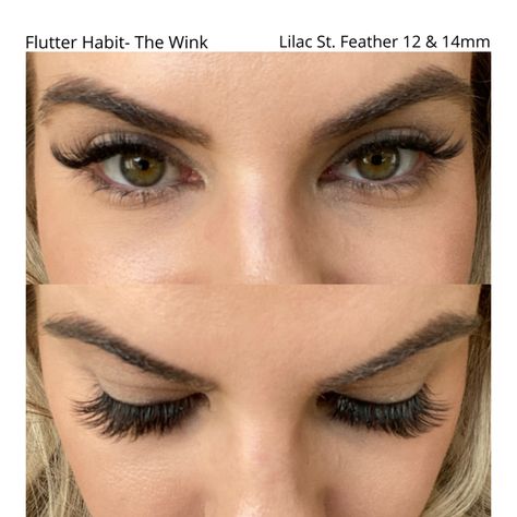 Flutter Habit vs. Lilac St. Lashes | Lauren Erro Flutter Habit Lashes Application, Lilac Street Lash Map, Lilac St Lashes, Lilac Street Lashes, Flutter Habit Lashes, Lilac Lashes, Flutter Lashes, Perfect Eyelashes, Full Lashes