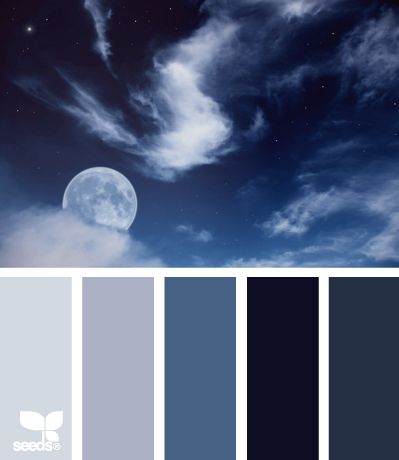 night blues Color Palate, Design Seeds, Colour Board, Color Wheel, Colour Schemes, Color Pallets, Color Swatches, Room Colors, Color Theory