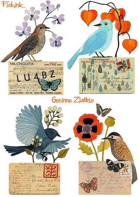 Fishinkblog 8170 GENINNE ZLATKIS 10 Gennine Zlatkis, Geninne Zlatkis, Uk Illustration, Birds Illustration, 365 Project, Birds And Flowers, Bird Art Print, Bird Pictures, Bird Illustration