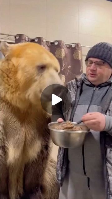 Pet Paradise Planet on Instagram: "PetParadieZ 
#reels #trending #pets #petstagram #petlovers #pet #animal #bear" Funny Videos Of Animals, Animal Reels, Wild Life Videos, Rescuing Animals, Bear Pics, Kindness To Animals, Videos Of Animals, Pet Paradise, Animal Bear