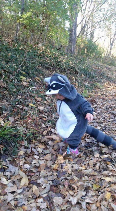 Cute little racoon :) Racoon Costume, Racoon, Halloween Outfits, Quick Saves, Instagram