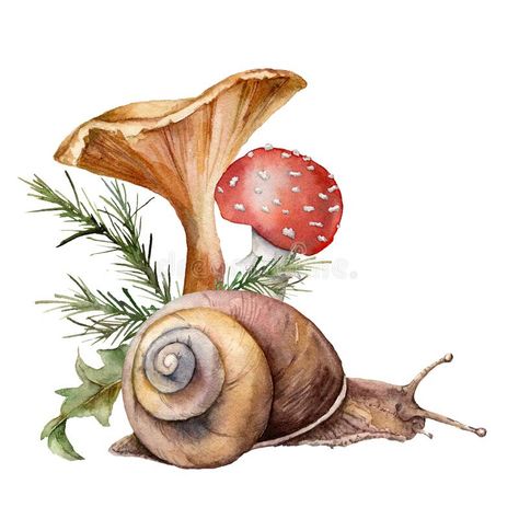 Woodland Drawing Illustration, Snail Botanical Illustration, Mushrums Drawing, Watercolor Illustration Art, Snail Drawing Illustrations, Watercolor Snails, Mushroom Watercolor Paintings, Autumn Drawing Ideas, White Background Painting