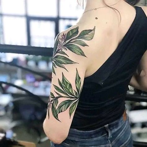 Spider Plant Tattoo, Plant Shoulder Tattoo, Tattoo Landscape, Botanical Sleeve, Arm Tattoos Color, Neat Tattoos, Plant Tattoos, Botanical Tattoos, Candy Tattoo