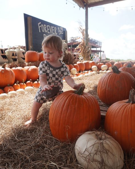 First pumpkin patch for the twins & they were running around like they owned the place. Swipe << for the reality of taking pictures with twins🙃🙃 #pumpkinpatch #babypumpkin #southernhillfarms #babypumpkinpatch #twinspumpkinpatch #twinlife #twinmom #twinbrothers Twin Life, Twin Mom, Twin Brothers, Baby In Pumpkin, Taking Pictures, Pumpkin Patch, Twins