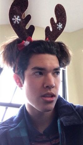 conan gray as rudolph Conan Gray Christmas, Conan Gray Christmas Wallpaper, Silly Love Songs, Conan Gray Aesthetic, Grey Pictures, Grey Christmas, Gray Aesthetic, Indie Artist, Conan Gray