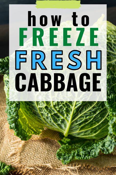 Can You Freeze Cabbage, Freezing Cabbage, Freezing Veggies, Preserving Vegetables, Freezing Fruit, Freezing Vegetables, Cabbage Head, Freezer Meal Planning, Freezing Food