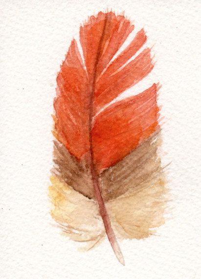 Robin feather Feather Images, Art Watercolor Painting, Robin Bird, Feather Tattoo, Feather Art, Bird Drawings, Rose Art, Robins, Art Watercolor