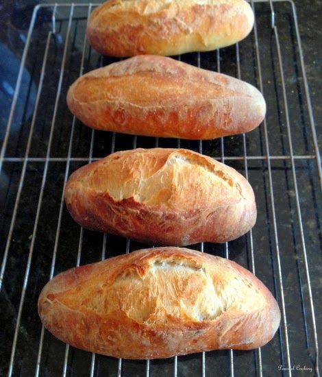 No Knead Hoagie Rolls, No Knead Sandwich Rolls, Crusty Bread Recipe, Hot Dog Rolls, Spoon Bread, Hoagie Rolls, Knead Bread, My Peace, No Knead Bread