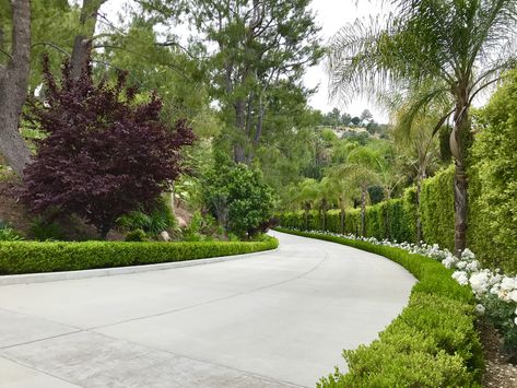 Side Of Driveway Landscaping, Elegant Driveway, Luxury Driveway, Driveway Landscaping Ideas, Winding Driveway, Small Water Feature, Driveway Paint, Car Driveway, Entrance Landscaping