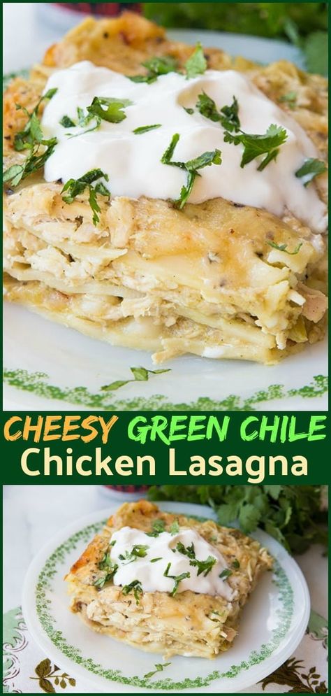 Spicy Green Chili Chicken Lasagna, Cream Cheese Chicken Lasagna, Green Chile Lasagna, Green Chili Chicken Lasagna Recipe, Mexican Chicken Lasagna Recipe, Spicy Chicken Lasagna, Green Chile Chicken Lasagna, Green Lasagna Recipe, Green Chili Lasagna Recipe