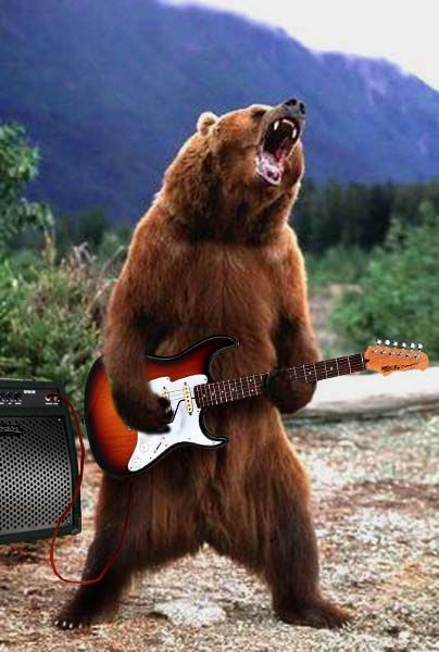 chuck beary Funny Bear Pictures, Dont Feed The Bears, Pride Art, Funny Bears, Bear Photos, Animals Friendship, Bear Pictures, Love Bear, Nature Wildlife