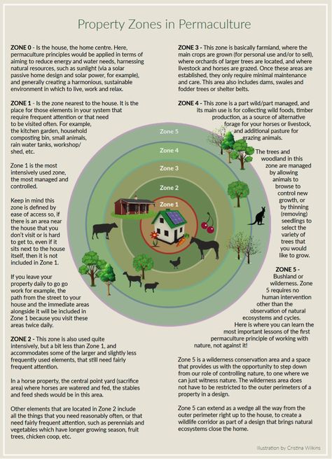 zones-hp Keyline Design, Agroforestry Permaculture, Permaculture Zones Design, Allotment Planning, Permaculture Water Harvesting, Permaculture Food Forest Design, Mandala Garden, Commune Design, Homestead Layout