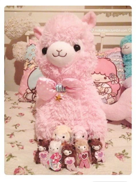 Cute alpacasso Llama Plushies, Alpaca Plushie, Dolly House, Kawaii Goth, Cute Llama, Kawaii Plush, Kawaii Plushies, Pastel Pink Aesthetic, Group Photo