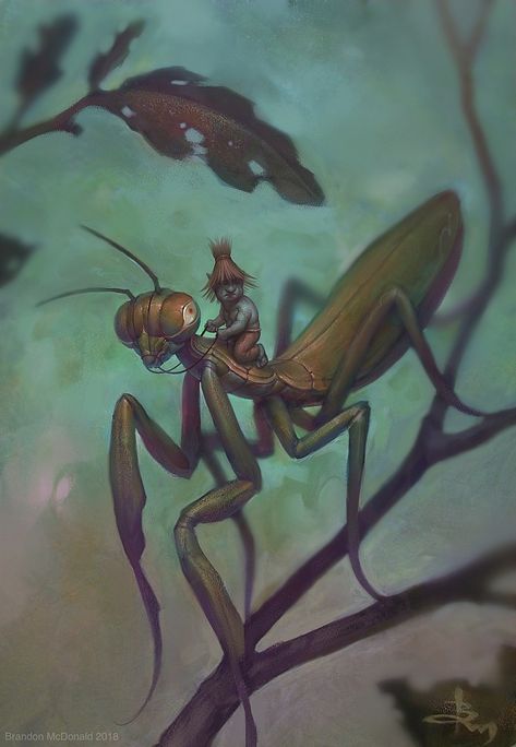 Hard Images, Praying Mantis, Insect Art, Tattoo Inspo, Fantasy Creatures, Character Concept, Painting Ideas, Aesthetic Anime, Fantasy Art