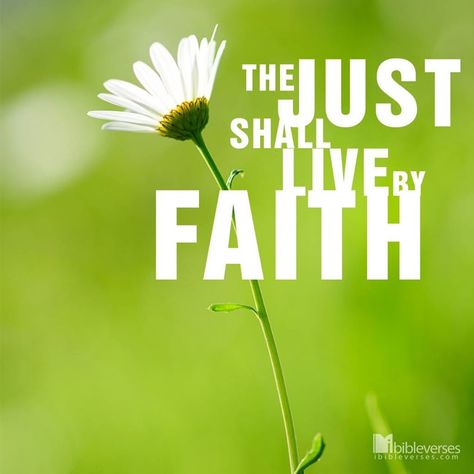 The just shall live by faith   https://www.facebook.com/ChristianTodayInternational/photos/10152384476989916 This Is The Day, Rejoice And Be Glad, Bible Verse Art, Biblical Quotes, Jesus Is Lord, Faith Hope, Amazing Quotes, Faith In God, Wise Quotes