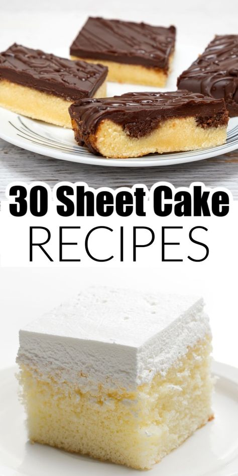 A group of delicious sheet cake recipes. From classic yellow cake to Texas sheet cake, and so many more sheet cake recipes. Summer Day Sheet Cake, Cake Squares Sheet, Mini Sheet Cakes Ideas, Wedding Sheet Cake Recipes, Alaskan Sheet Cake, Fudge Sheet Cake, Delicious Sheet Cake Recipes, Sheet Cake Flavor Ideas, Sheet Pan Pound Cake