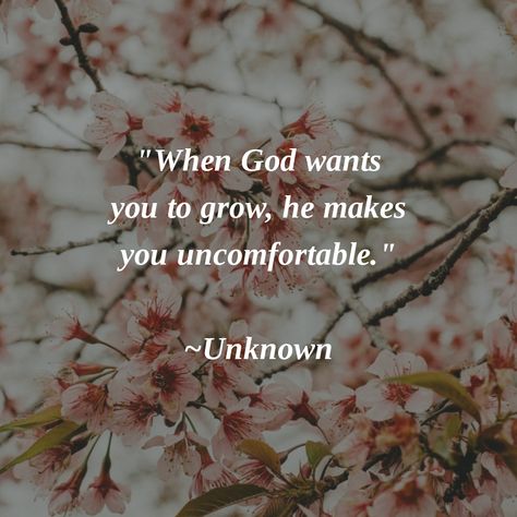 "When God wants you to grow, he makes you uncomfortable." ~Unknown #SOULCARE I Asked God To Help Me Grow, I Had To Make You Uncomfortable God, God Makes You Uncomfortable, I Had To Make You Uncomfortable Quotes, Uncomfortable Quote, Growing Up Quotes, God Made You, God Help Me, Inspirational Quotes God