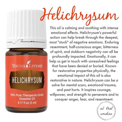 This is a great oil in combination with an Energy healing. Young Living Helichrysum, Helichrysum Essential Oil, Essential Oils 101, Young Living Essential Oils Recipes, Essential Oils Guide, Essential Oils Health, Essential Oil Diffuser Recipes, Yl Essential Oils, Cedarwood Oil