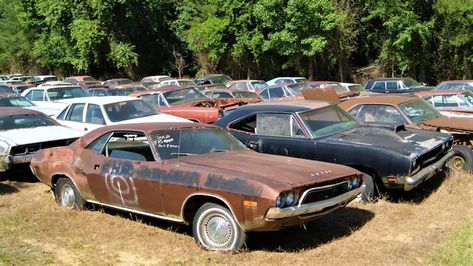 Junkyard Cars, Barn Find Cars, Car Barn, Old Muscle Cars, Muscle Cars For Sale, Rusty Cars, Mopar Cars, Mopar Muscle Cars, Mopar Muscle