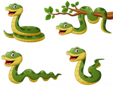 Set of funny green snake cartoon. illust... | Premium Vector #Freepik #vector #character Snakes For Kids, Snake Cartoon, Farm Cartoon, Snake Images, Snake Illustration, Snake Drawing, Desain Buklet, School Murals, Cute Snake