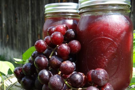 Grape Jelly Low Sugar Canning #Recipe Sangria Mocktail, Jelly Maker, Sugared Grapes, Wine Jelly, Grape Jam, Canning Recipe, Farm Fresh Recipes, Red Sangria, Grape Jelly