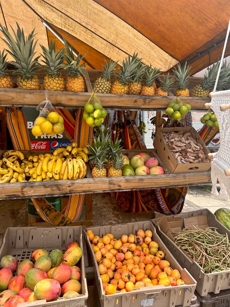 fruits at the beach Beach Fruit Aesthetic, Fruit At The Beach, Tropical Fruits Aesthetic, Fruit On The Beach, Beach Fruit, Statement Aesthetic, Fantasy Country, Tropical Frames, Tropical Food