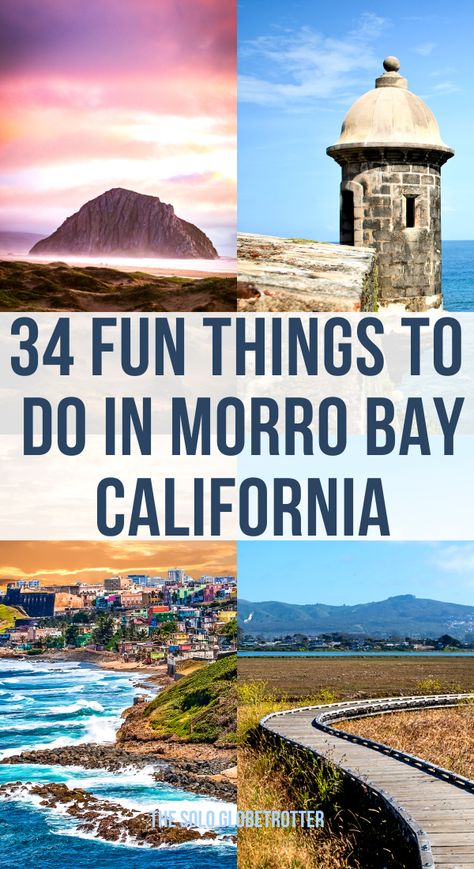 There are many incredible things to do in Morro Bay, making it one of the top attractions in California for hikers, anglers, Surfers, art and museum lovers, birdwatching enthusiasts and people looking to unwind on one of the secluded beaches away from the hustle and bustle of the town. If you are planning a weekend trip from San Franciso or looking for an exclusive what to do in Morro Bay, read on to know about each Morro Bay attraction. Morrow Bay California, Morro Bay California Things To Do, Morro Bay California, California Attractions, Camping Usa, Avila Beach, Usa Trip, California Trip, Best Weekend Getaways